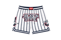 GO TIGERS (CAPSULE COLLECTION)